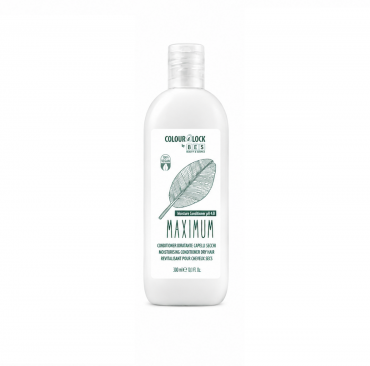 BES Colour Lock Maximum Moisture Conditioner PH4 TRAVEL 100ml