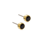 Blomdahl Golden Titanium Bezel Black Earing 5mm