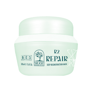 BES R2 Repair Deep Reconstruction Mask 500ml